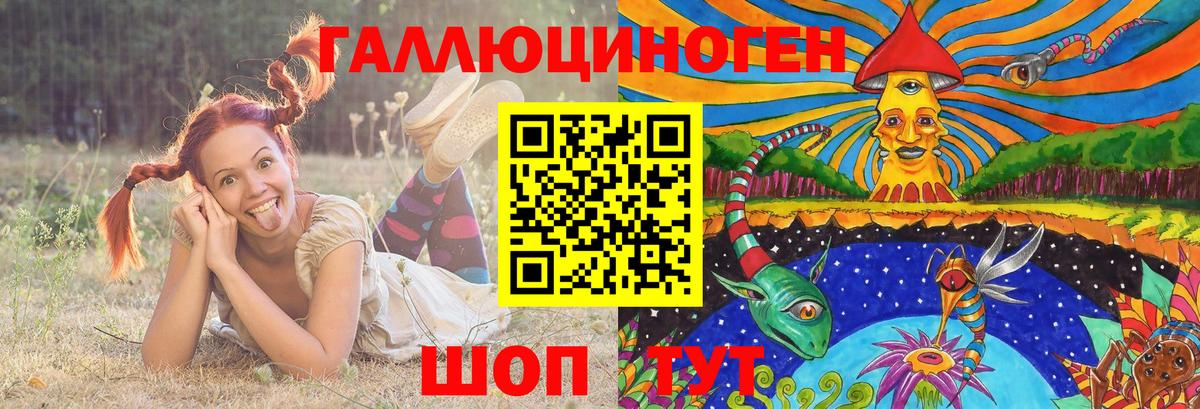 Галлюциногенные грибы Cubensis  Вход с VPN  Энгельс 
