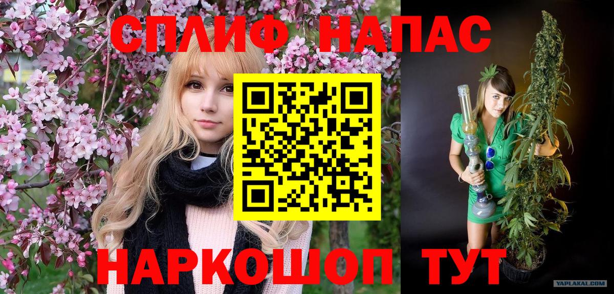 Канабис ГИДРОПОН Энгельс